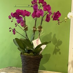 Ginny's Orchids - My wife 60 th birthday gift
