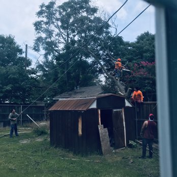Rudy's Tree Service - a group of men working on a tree - Tree Services Near Me - Dallas, Texas Rudy's Tree Service - a group of men working on a tree - Tree Services Near Me - Dallas, Texas