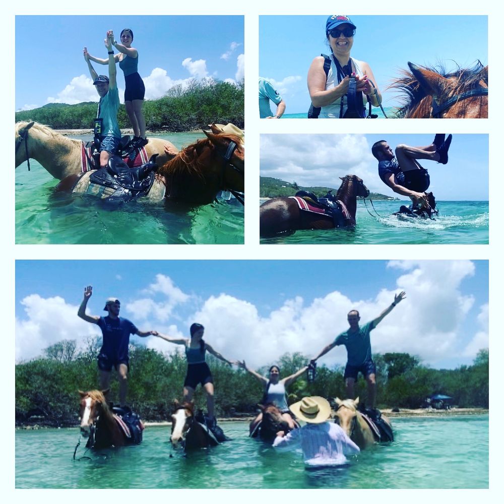 Horseback riding in the ocean Horseback riding in the ocean