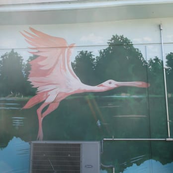 Sulphur Springs Pool - Roseate spoonbill. Part of the lovely murals on the pool complex walls. There is also a tile mosaic inside the complex. - Swimming Pools Near Me - Tampa, Florida Sulphur Springs Pool - Roseate spoonbill. Part of the lovely murals on the pool complex walls. There is also a tile mosaic inside the complex. - Swimming Pools Near Me - Tampa, Florida