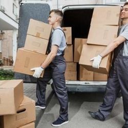 A Helping Hand Staffing Services - Moving Comp