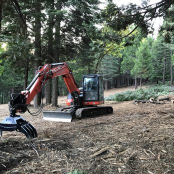 Garrett Forest Management - Tree Services Near Me Garrett Forest Management - Tree Services Near Me