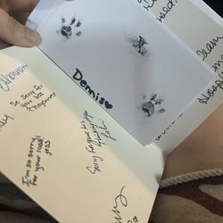 Wilkinson Animal Hospital - Sorry for loss card