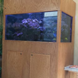 Dedicated Dental Service - Fish Tank at Dedicated Dental