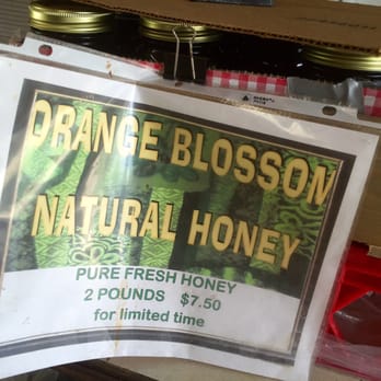 Going Bananas - Orange Blossom Natural Honey! - Nurseries & Gardening Near Me - Homestead, Florida Going Bananas - Orange Blossom Natural Honey! - Nurseries & Gardening Near Me - Homestead, Florida