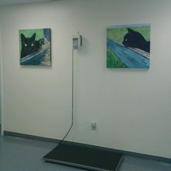 Cornwallis Road Animal Hospital - Veterinarians Near Me - Durham, North Carolina Cornwallis Road Animal Hospital - Veterinarians Near Me - Durham, North Carolina