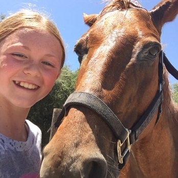 Country Trails and Riding School - Horseback Riding Near Me - Orange, California Country Trails and Riding School - Horseback Riding Near Me - Orange, California