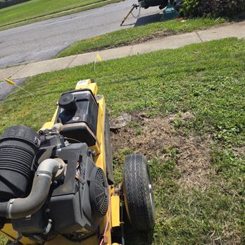 Hauser's Complete Care - Landscaping Near Me