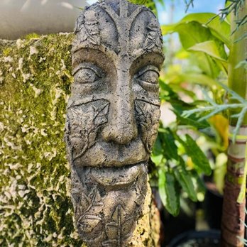 SmartyPlants Nursery - Landscaping Near Me - Lake Worth, Florida