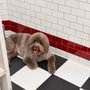 Puppy Tale Lodge