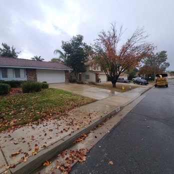 Bernabe Tree Service - See how clean the area they work - Tree Services Near Me - Riverside, California