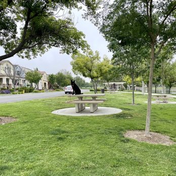 Off Leash K9 Training - Pet Training Near Me - Murrieta, California Off Leash K9 Training - Pet Training Near Me - Murrieta, California