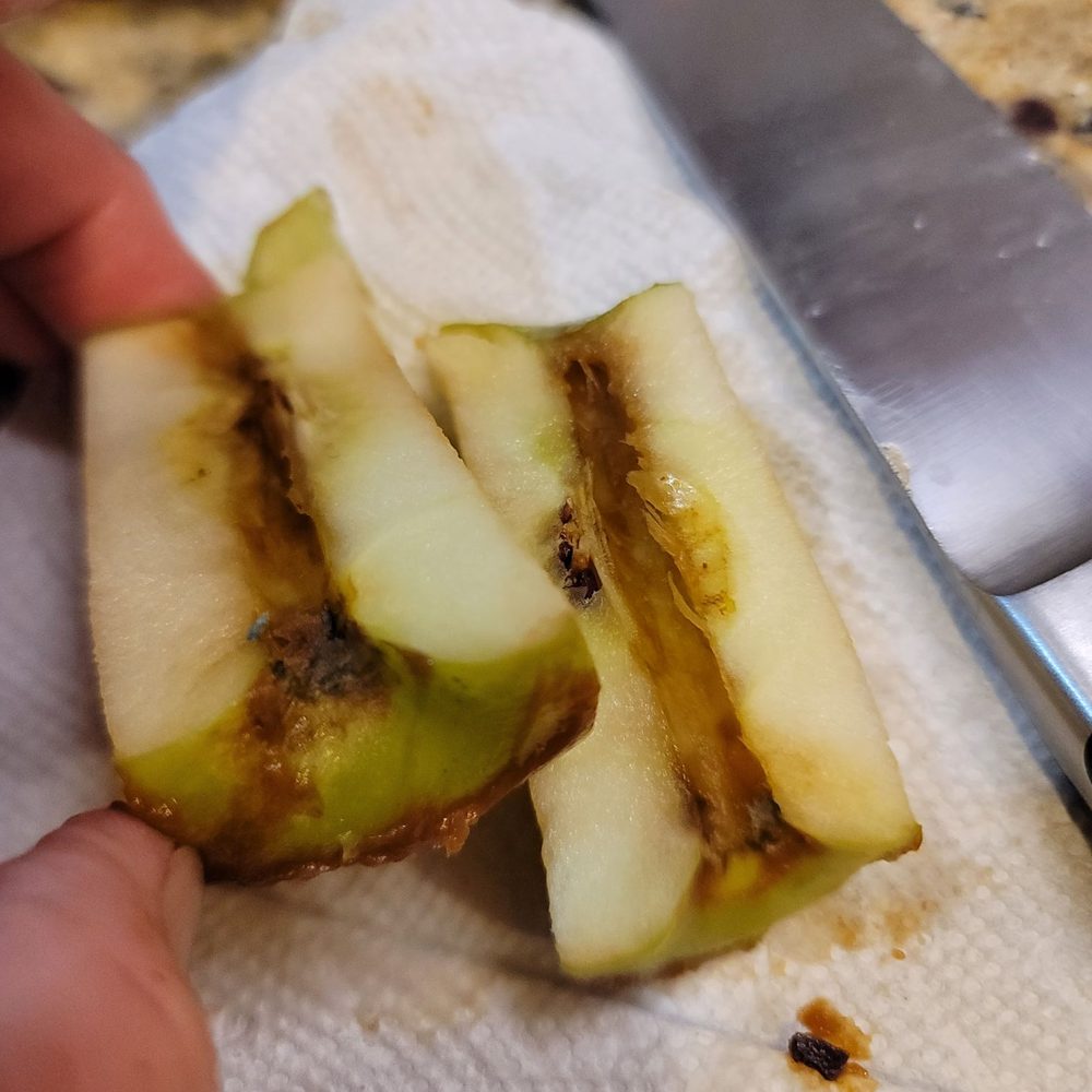 Rocky Mountain Chocolate - The dark spots inside of the Apple are all mold - Chocolatiers & Shops Near Me - Folsom, California Rocky Mountain Chocolate - The dark spots inside of the Apple are all mold - Chocolatiers & Shops Near Me - Folsom, California