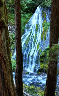 Panther Creek Falls by null