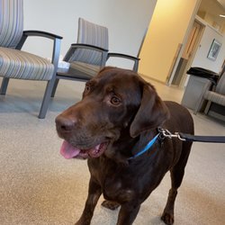UGA Veterinary Teaching Hospital - Waiting to be seen!