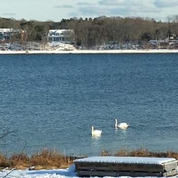 Cove House Rentals - Swans - Vacation Rentals Near Me - Orleans, Massachusetts Cove House Rentals - Swans - Vacation Rentals Near Me - Orleans, Massachusetts