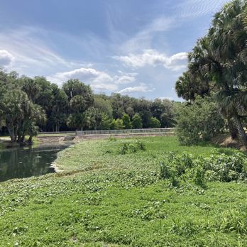 Gemini Springs Park - Wetlands - Parks Near Me - Debary, Florida