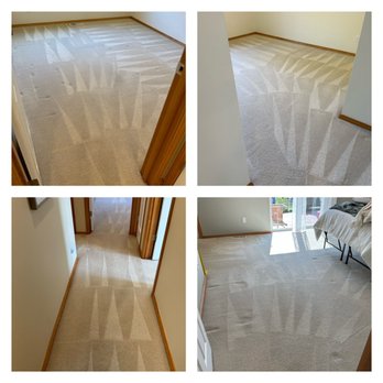 Principles Pro Services  - Steam carpet cleaning - Carpet Cleaning Near Me
