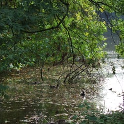 Wesselhoeftpark - Wesselhoeftpark: ein bisschen wie im dornröschenschlaf