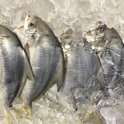 138 Fish Market