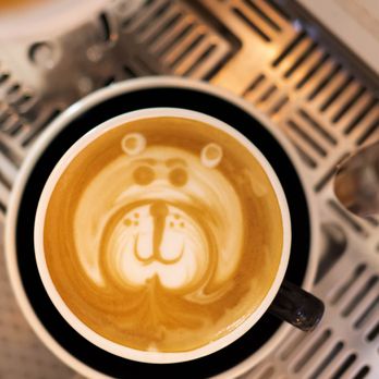 Rey Sol Coffee - Ask the barista to make a cute bear design on your latte! - Coffee & Tea Near Me - Ridgewood, New Jersey Rey Sol Coffee - Ask the barista to make a cute bear design on your latte! - Coffee & Tea Near Me - Ridgewood, New Jersey