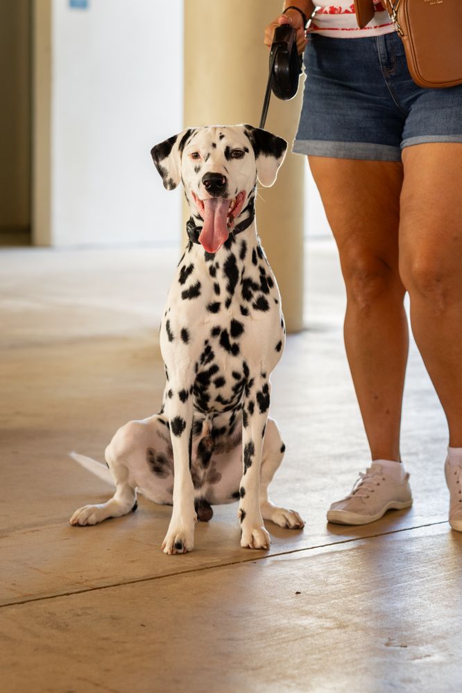 Slide of Best Roofing