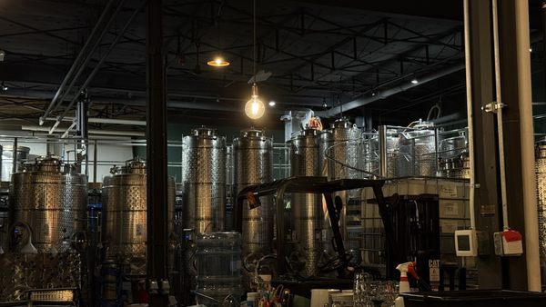 The Wine Collective by null