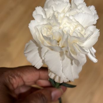 Oil Changers - So they gave me a flower - Oil Change Stations Near Me - Riverside, California Oil Changers - So they gave me a flower - Oil Change Stations Near Me - Riverside, California