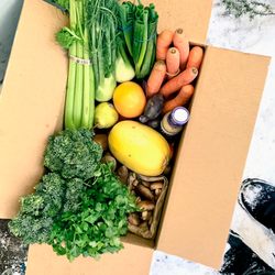 Full Circle - "Not only do we get amazing quality fruits and veggies, but the kids get so excited each week to pick up our box!"