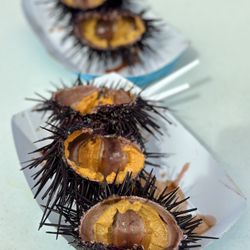 Santa Barbara Uni - Uni