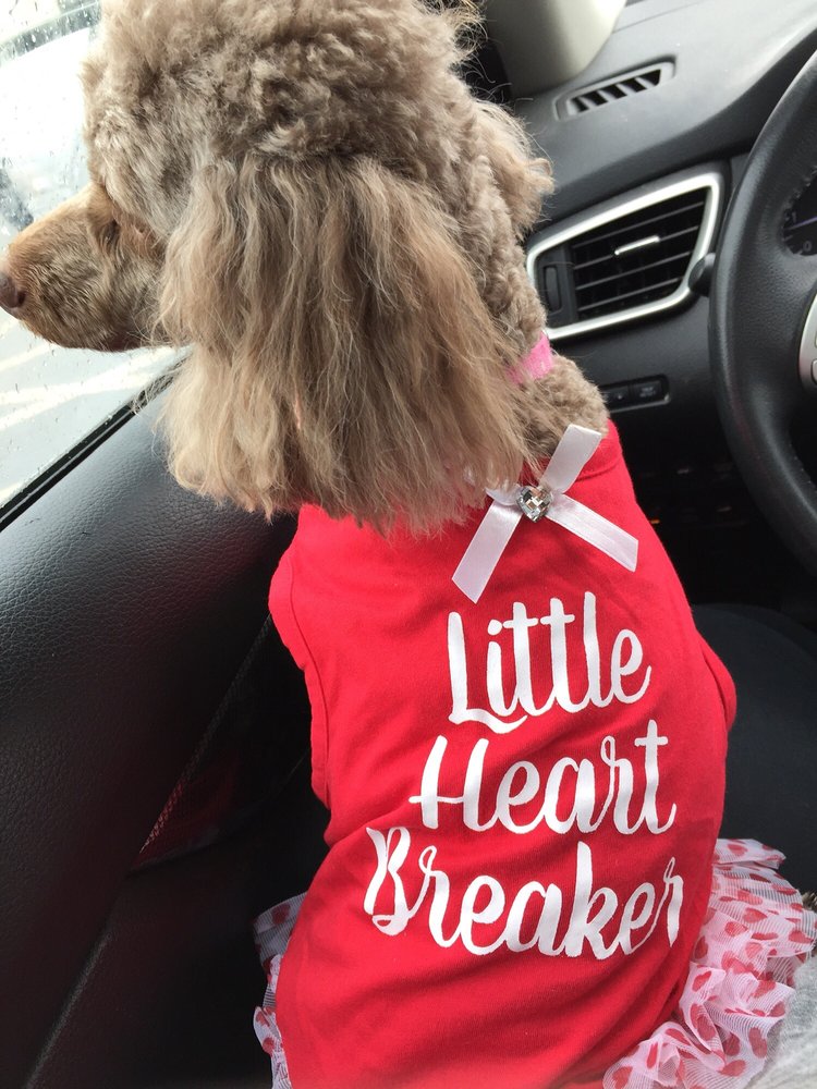 BUBBLES & BOWS PET SALON Updated August 2024 101 Fullerton Ave