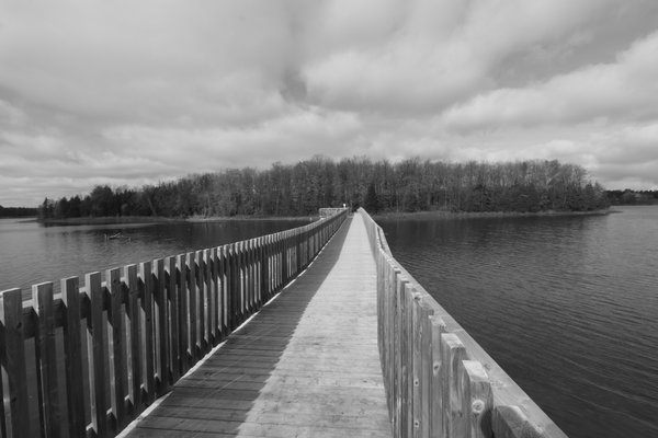 Island Lake Conservation Area by null