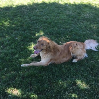 Hondo Dog Park - Dog Parks Near Me - Hillsboro, Oregon Hondo Dog Park - Dog Parks Near Me - Hillsboro, Oregon