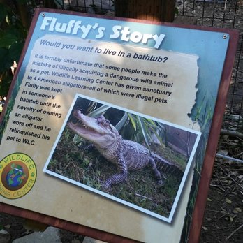 Wildlife Learning Center - Example of information panels in front of animal cages. You'll learn about the animal and its rescue story. - Zoos Near Me - Sylmar, California Wildlife Learning Center - Example of information panels in front of animal cages. You'll learn about the animal and its rescue story. - Zoos Near Me - Sylmar, California