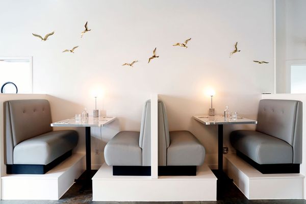 Champagne Diner by null