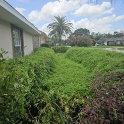 Lawn Work Fast