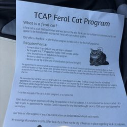 The explanation about the feral cat program