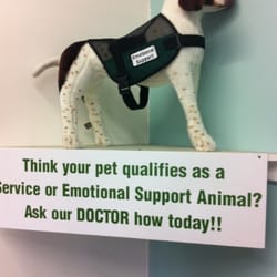 Hollywood Easy Clinic - Emotional support animal