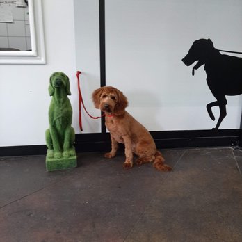 Dogtown Pet Spa - Pet Training Near Me - Sandy, Utah Dogtown Pet Spa - Pet Training Near Me - Sandy, Utah
