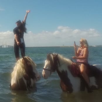 CPonies - Horseback Riding Near Me - Bradenton, Florida CPonies - Horseback Riding Near Me - Bradenton, Florida
