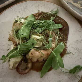 Theodora - Octopus - Mediterranean Near Me - Brooklyn, New York Theodora - Octopus - Mediterranean Near Me - Brooklyn, New York