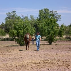 Whisper's Ranch - Toni, B&B proprietor and one of her rescued horses