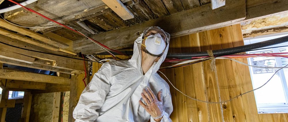 Pure Maintenance - mold inspector in Winter Park, FL