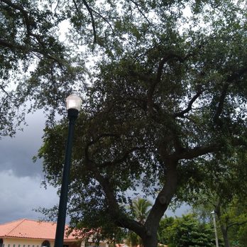 Bryan Park - Parks Near Me - Miami, Florida Bryan Park - Parks Near Me - Miami, Florida