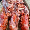 Lobsters Crew gift card