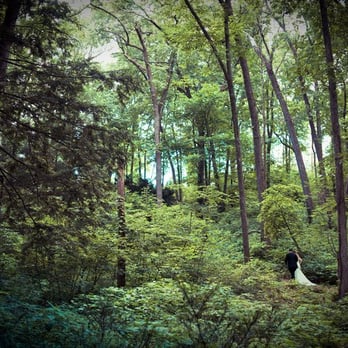 Nichols Arboretum - Walking from our wedding ceremony in the Heathdale. - Parks Near Me - Ann Arbor, Michigan