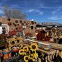 Photo of Jericho Nursery