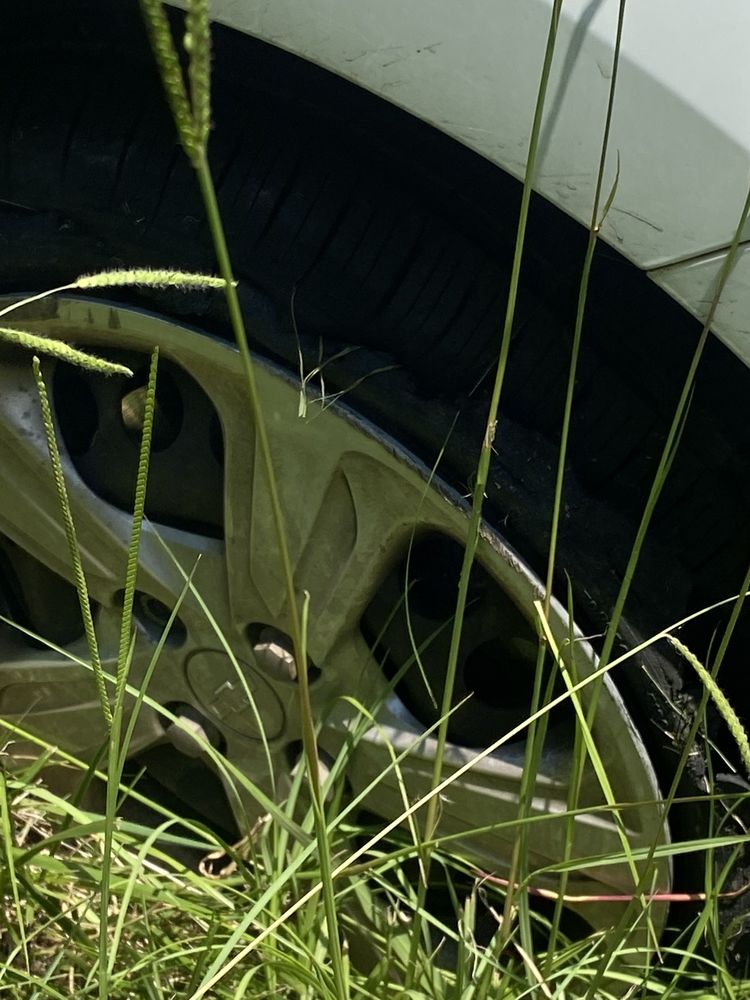 FULK CLYDE EXXON Updated September 2024 606 E Main St, Pilot