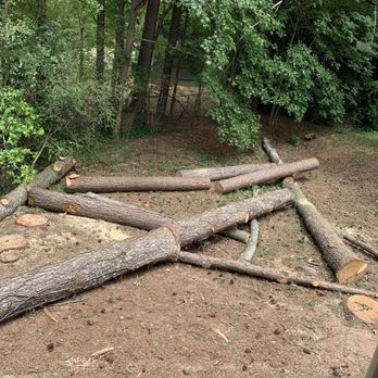 Stone Mountain Tree Service - Trees laid in backyard - Tree Services Near Me - Decatur, Georgia Stone Mountain Tree Service - Trees laid in backyard - Tree Services Near Me - Decatur, Georgia