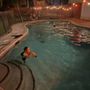 The Pool Cleaning Professionals